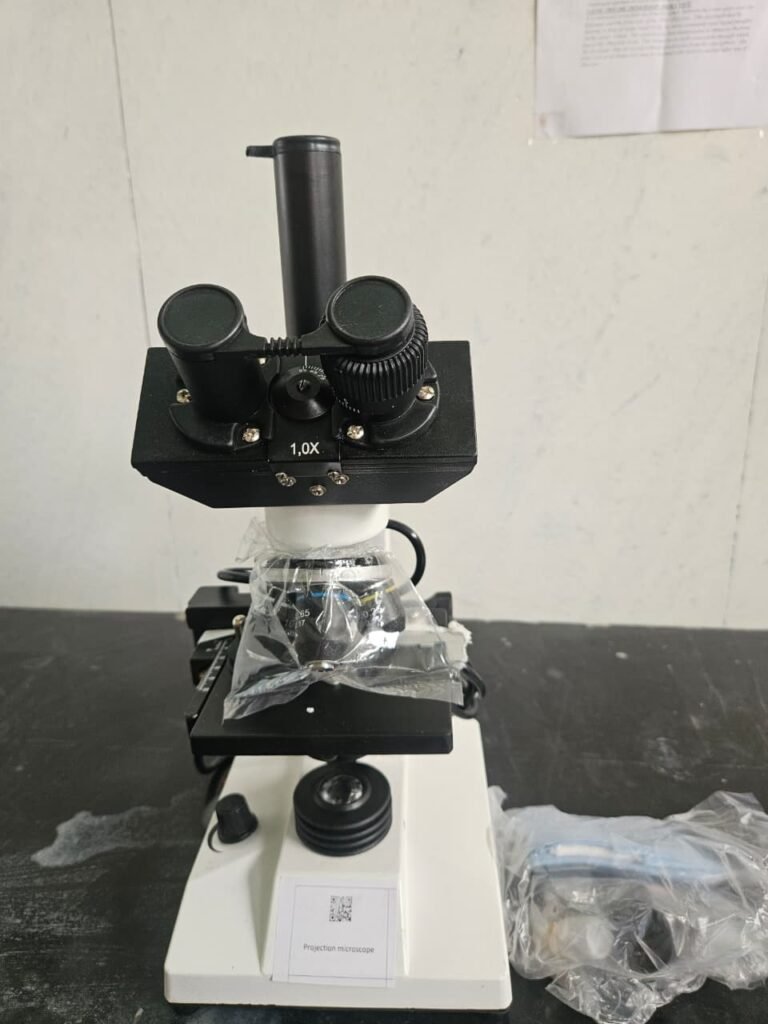 WhatsApp Image 2025-08-22 at 14.09.00_07cddd77